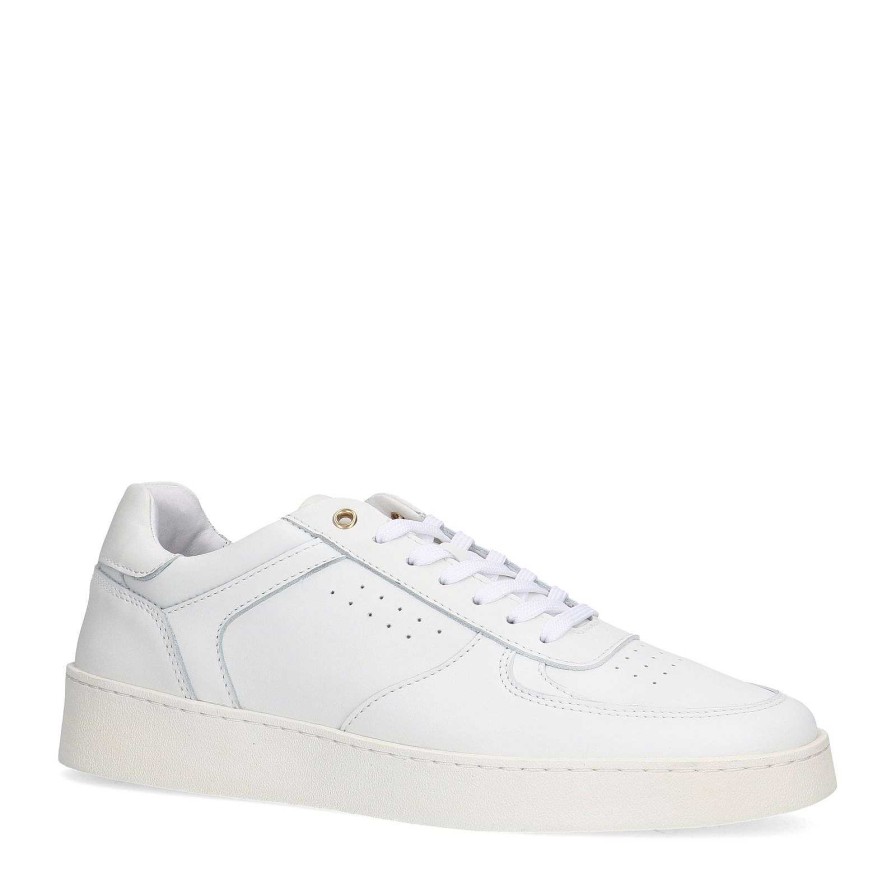 Sacha Leather Sneakers - White