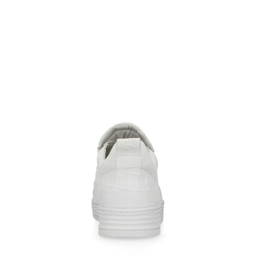 Sacha Suede Sneakers - White